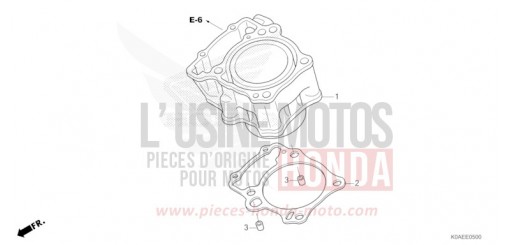 CYLINDER CBF300NAN de 2022