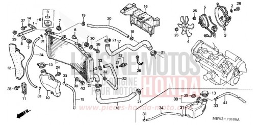 RADIATORE CBR600FR1 di 2001