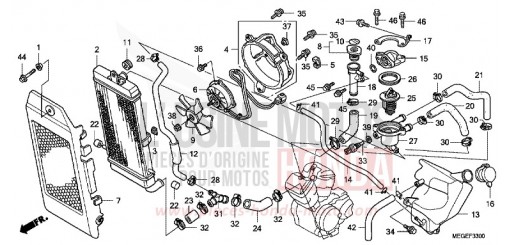 RADIATOR VT750C9 de 2009
