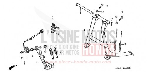 CAVALLETTO NT650V3 di 2003