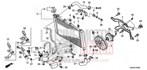 RADIATORE NC750DK di 2019