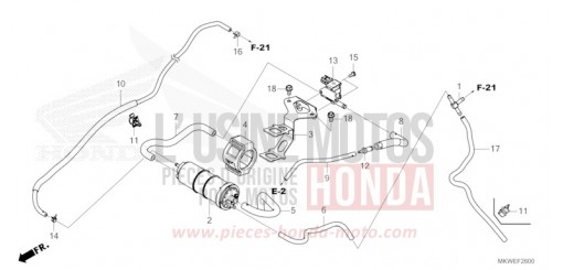 CANISTER NC750XAS de 2025