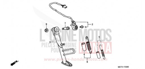 STAND XL1000V1 de 2001