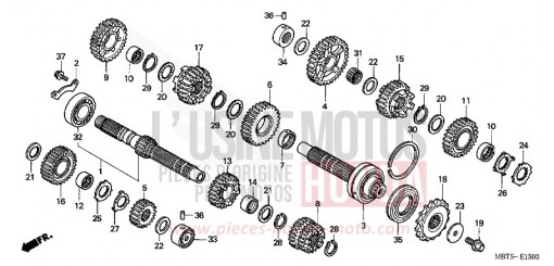 TRANSMISSION XL1000V5 de 2005