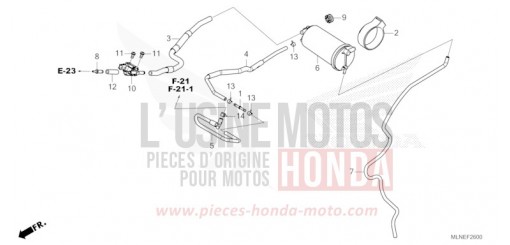 CANISTER CRF1100D4S de 2025