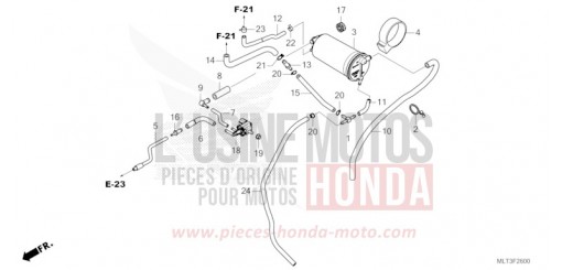 CANISTER CB1000GTT de 2026