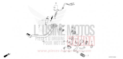 PEDALE Z125MAS di 2025