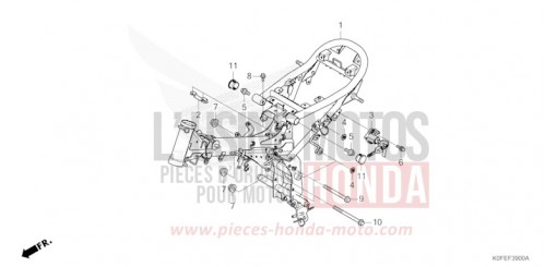 TELAIO Z125MAS di 2025