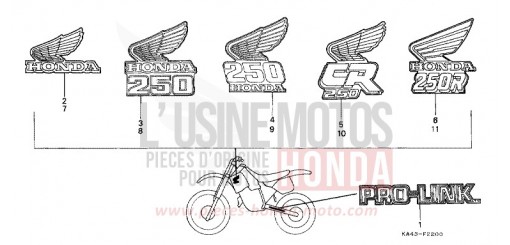 MARCA/STRISCIA CR250RG di 1986