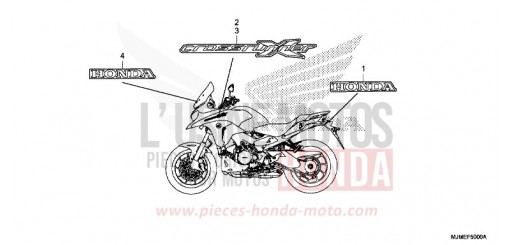 MARK VFR800XH de 2017