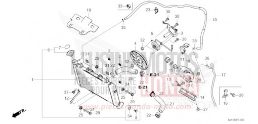 RADIATOR CB650RACR de 2024