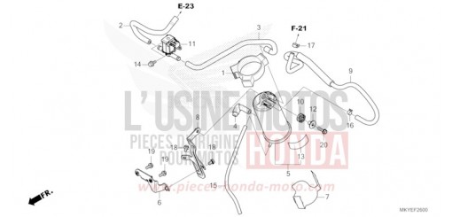 CANISTER CB650RACR de 2024
