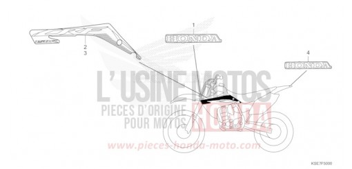 MARK CRF150RBN de 2022