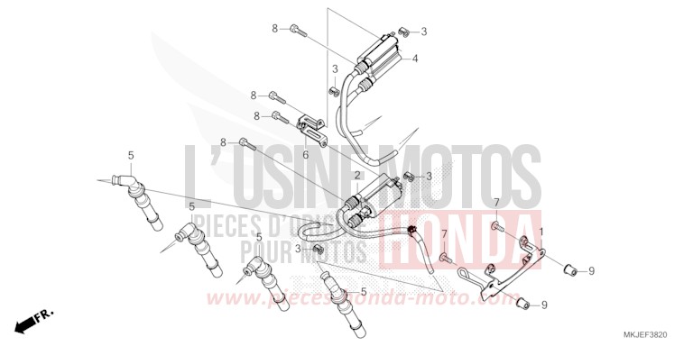 IGNITION COIL for CB1000R CANDY CHROMOSPHERE RED (R381) from 2021