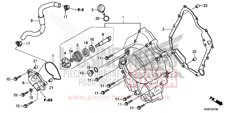 RIGHT CRANKCASE COVER/WATER PUMP for NSS300A CRESCENT BLUE METALLIC (PB412) from 2019