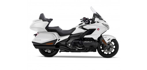 GL1800 de 2020
