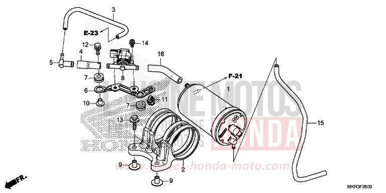 CANISTER for CBR1000ST GRAND PRIX RED (R380) from 2020