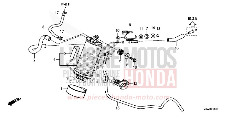 CANISTER for CB500X FORCE SILVER METALLIC (NH411) from 2018