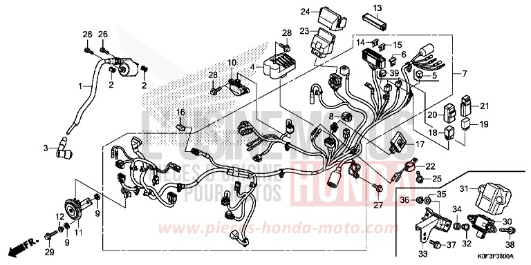WIRE HARNESS for Monkey PEARL NEBULA RED (R376) from 2019