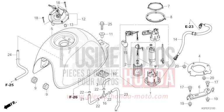 FUEL TANK for Monkey PEARL NEBULA RED (R376) from 2022