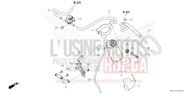 CANISTER for CB650R CANDY CHROMOSPHERE RED (R381) from 2022