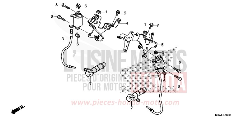 IGNITION COIL for NC750D CANDY CHROMOSPHERE RED (R381) from 2019