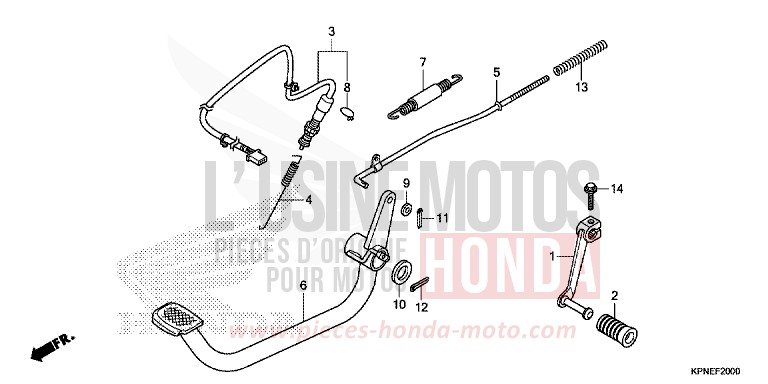 PEDALE (GLR1251WHF/2WHF) for GLR1251WH CANDY BLAZING RED (R195) from 2015