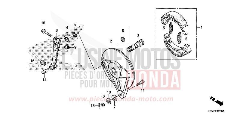 REAR BRAKE PANEL for GLR1251WH PEARL TWINKLE YELLOW (Y202) from 2017