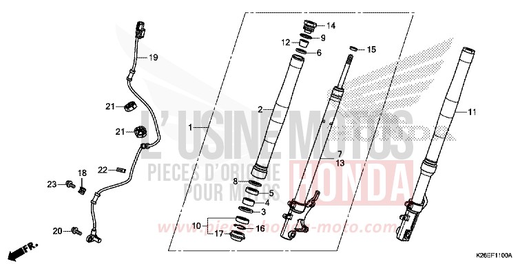 FORCELLA ANTERIORE per MSX125 LEMON ICE YELLOW (Y196) del 2016