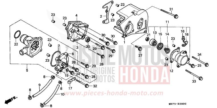LEFT CRANKCASE COVER/ WATER PUMP for VFR750R PEARL CRYSTAL WHITE (NH193H) from 1989