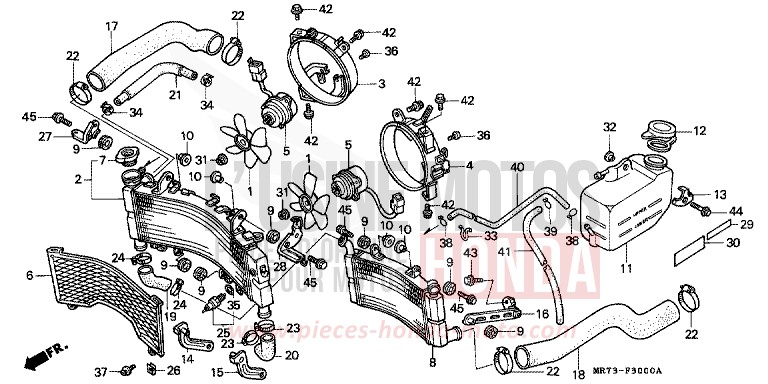 RADIATOR for VFR750R PEARL CRYSTAL WHITE (NH193H) from 1989