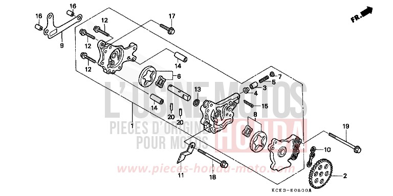 OIL PUMP for XR250R FIGHTING RED (R134) from 2002