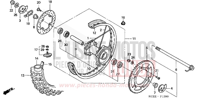 REAR WHEEL for XR250R FIGHTING RED (R134) from 2004