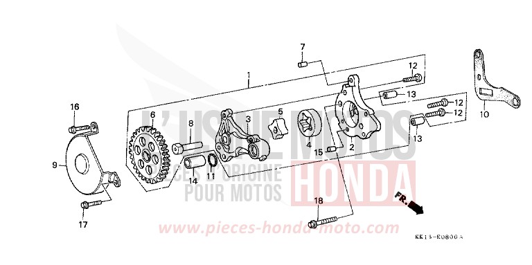 OIL PUMP (1) (XR250RE) for XR250R FLASH RED (R119) from 1984