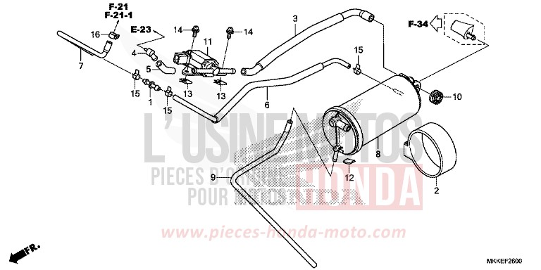CANISTER for CRF1000 GRAND PRIX RED (R380B) from 2019