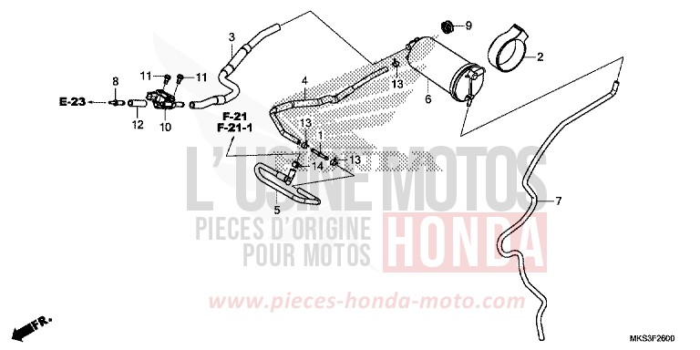 CANISTER for CRF1100A GRAND PRIX RED (R380B) from 2020