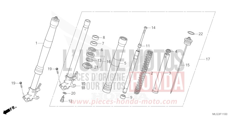 FRONT FORK (1) for CRF1100A PEARL GLARE WHITE (NHB53H) from 2022