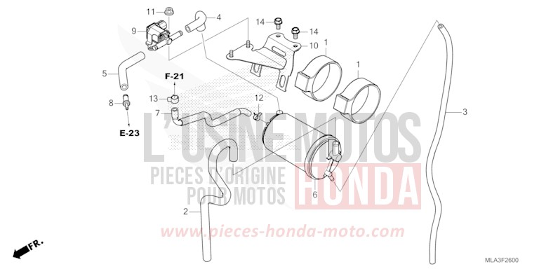 CANISTER for CMX1100 BORDEAUX RED METALLIC (R337) from 2021