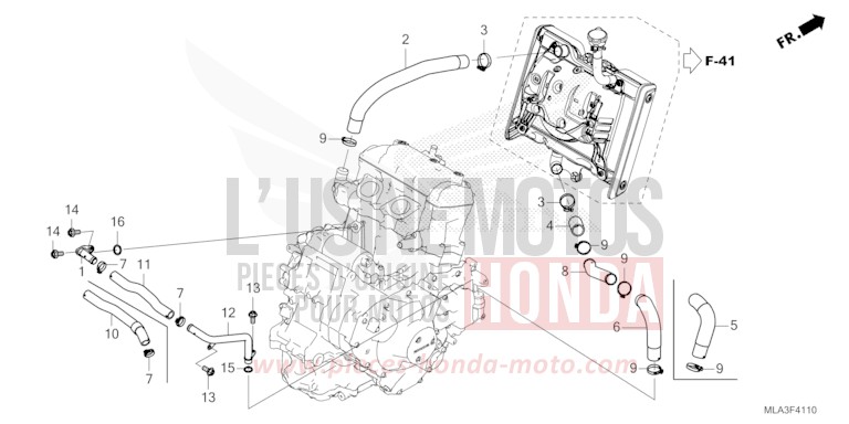 RADIATOR HOSE/WATER PIPE for CMX1100 BORDEAUX RED METALLIC (R337) from 2021