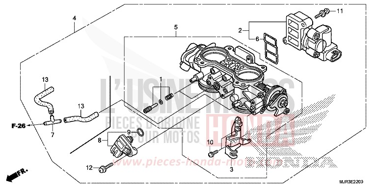CORPS DE PAPILLON for   from 