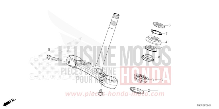 STEERING STEM (CB500FAN/P) for CB500F PEARL DUSK YELLOW (Y238) from 2022