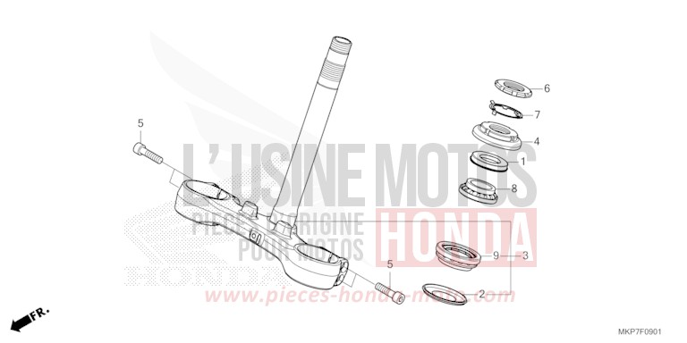 STEERING STEM (CB400XAN,CB500XAN/P) for CB500X PEARL ORGANIC GREEN (GY157) from 2022