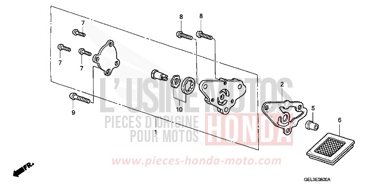 OIL PUMP for XR50R FIGHTING RED (R134) from 2002