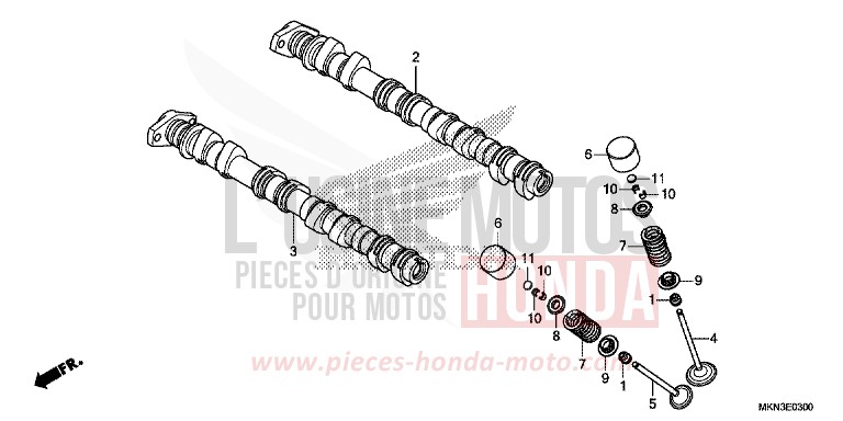 CAMSHAFT/VALVE for CB650R MAT JEANS BLUE MATALLIC (PB417) from 2019