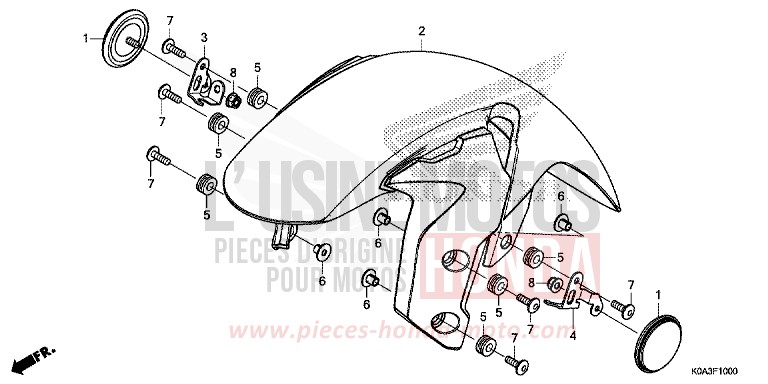 PARAFANGO ANTERIORE per CBF300NA CANDY CHROMOSPHERE RED (R381) del 2018