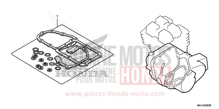 GASKET KIT B for NC750S CANDY CHROMOSPHERE RED (R381) from 2019