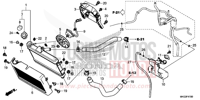 RADIATOR for REBEL MILLENNIUM RED (R263) from 2019