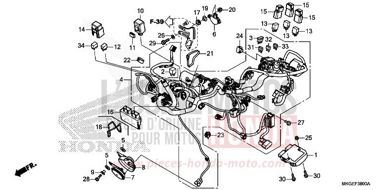 WIRE HARNESS for REBEL MAT AXIS GRAY METALLIC (NH303) from 2022