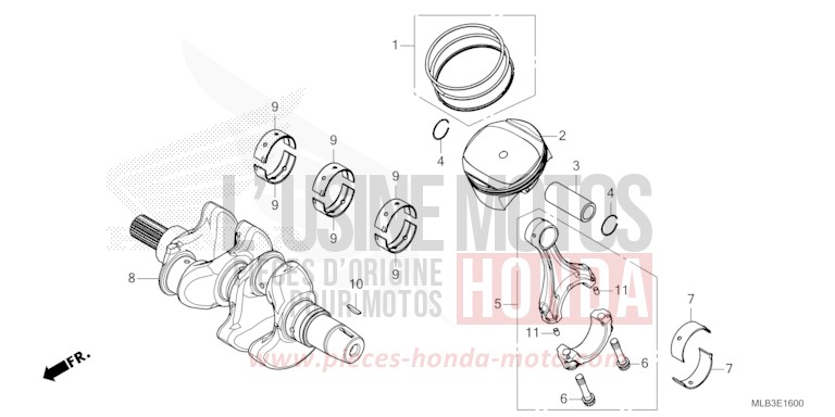 CRANKSHAFT/PISTON for CB750A MAT GOLDFINCH YELLOW (Y242) from 2023