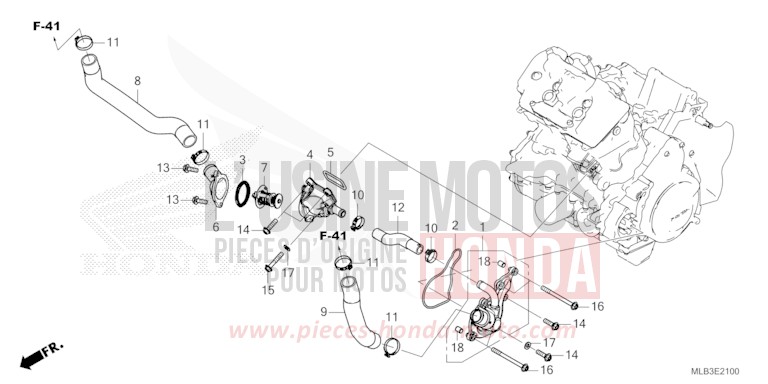 THERMOSTAT/WATER HOSE for CB750A PEARL GLARE WHITE (NHB53) from 2023